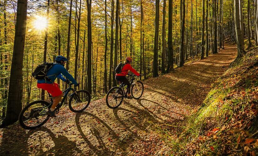 2 Personen fahren mit ihren Mountainbikes durch den Wald