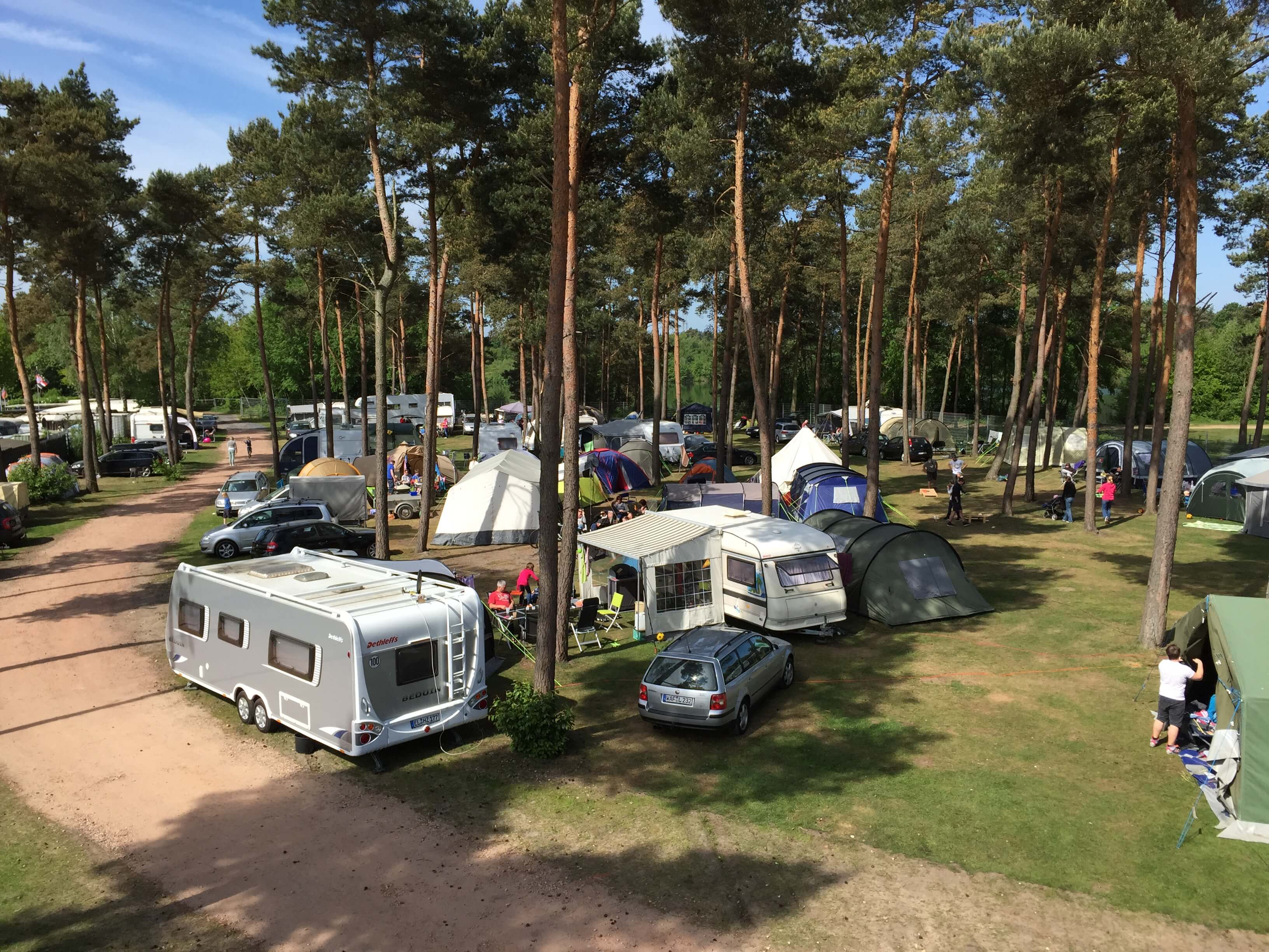 Campingpark Haddorfer Seen Kiefernhain Foto