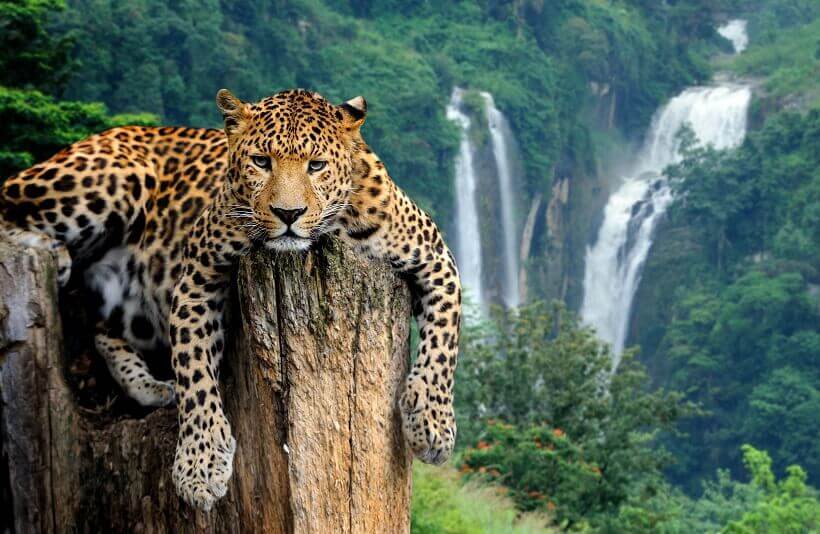 Iguaz Falls Sind Das Die Gr ten Wasserf lle Der Welt Iguaz Falls Sind Das Die Gr ten Wasserf lle Der Welt