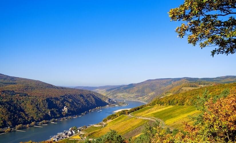 Der-Rheingau-im-Herbst-Hessen