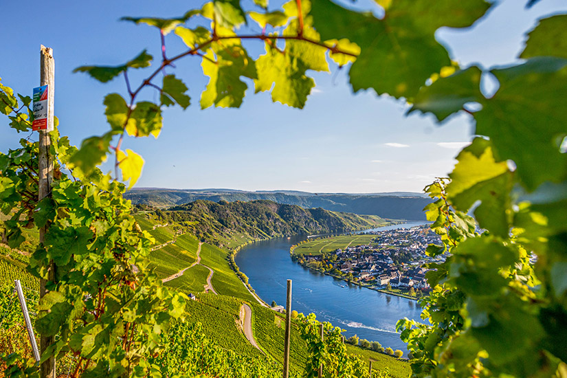 Die-Mosel-in-Rheinland-Pfalz