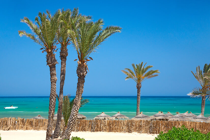 Palmen und Strand auf Djerba