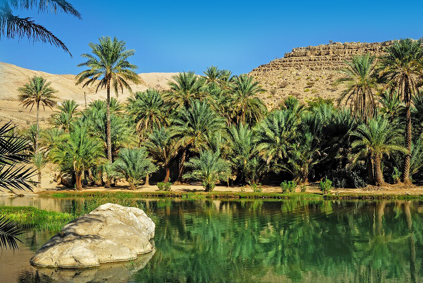 Oase Wadi Bani Khalid im Oman