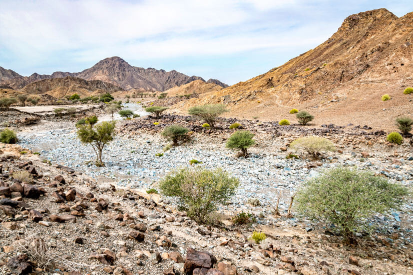 Ras Al Khaimah ausgetrocknetes Flussbett