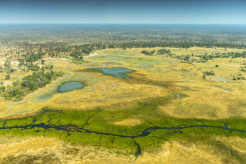1568186552_Okavango