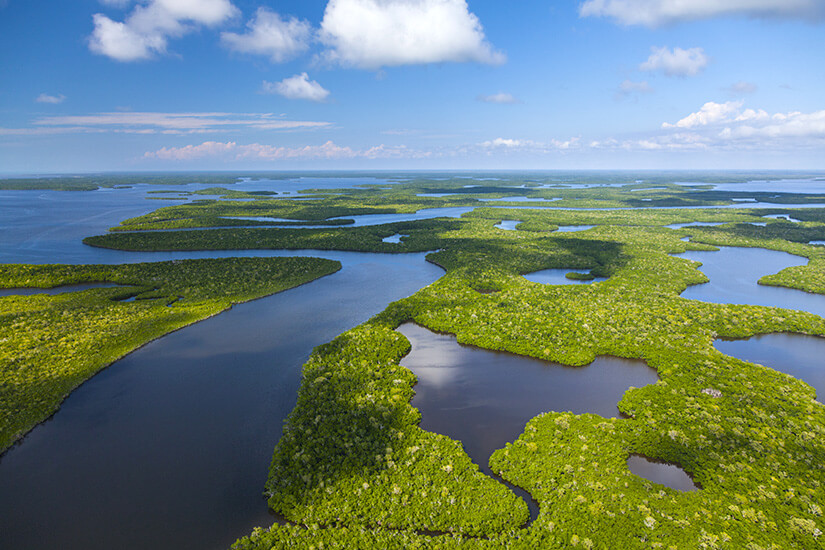 Luftaufnahme des Everglades National Parks