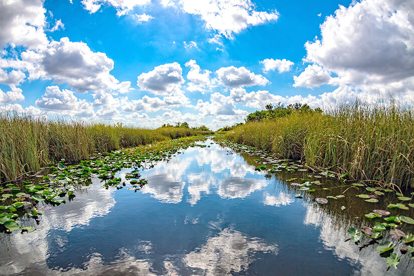 Auf Wasserwegen durch die Everglades