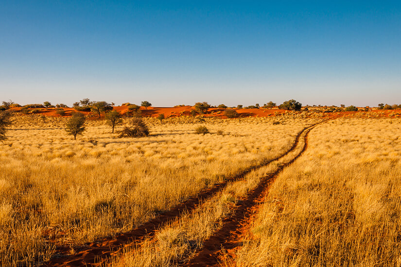 Kalahari Sonnenuntergang in der Savanne