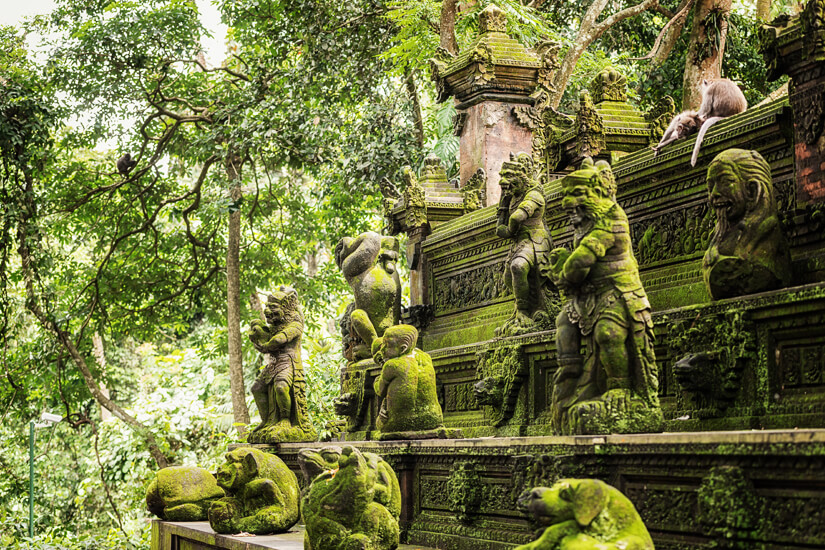 Monkey Forest in Ubud