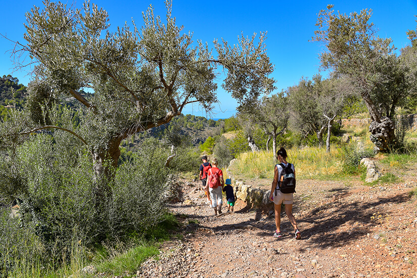 Wandern in der Serra de Tramuntana auf Mallorca