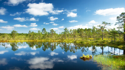 Lahemaa National Park in Estland