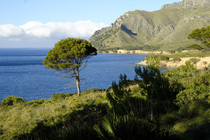 Wandern in den Naturparks von Mallorca