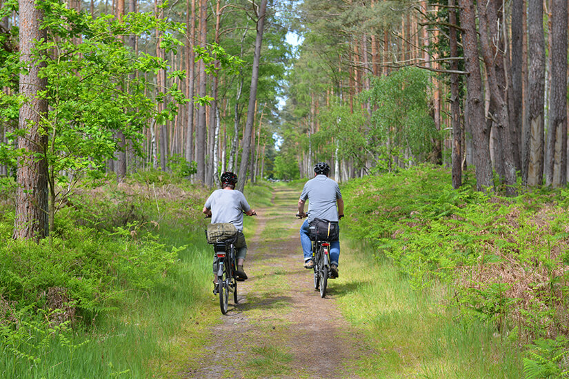 Radfahren im Darßwald