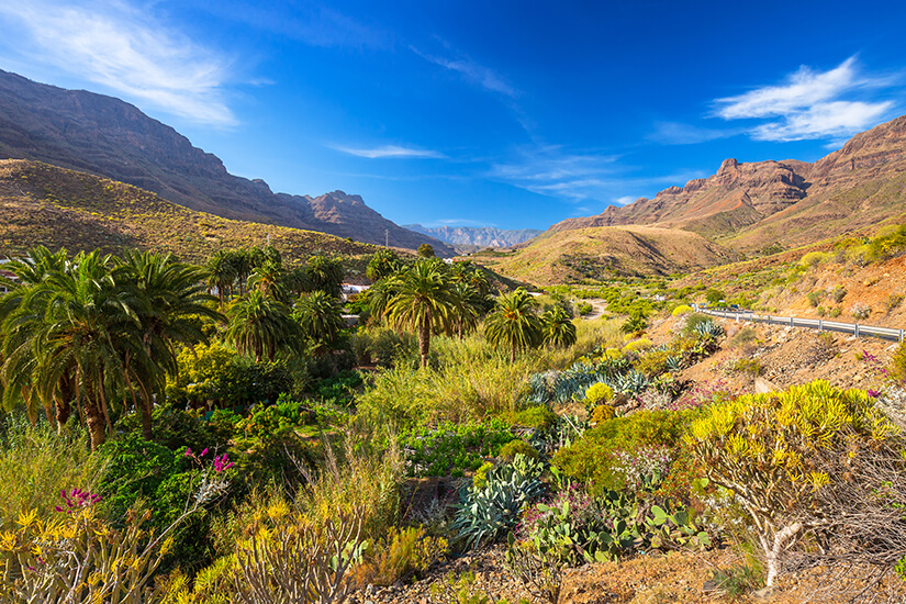 Landschaft im Inneren von Gran Canaria