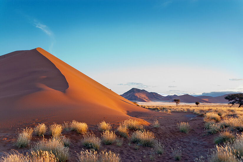 Wueste Namib