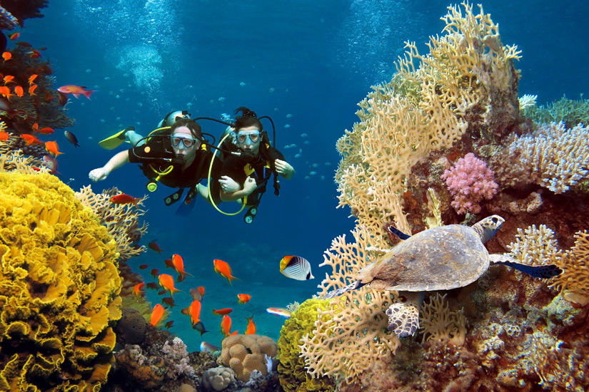 Tauchurlaub in der Karibik