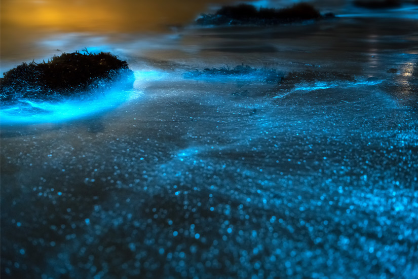 Naturschauspiel an der Mosquito Bay