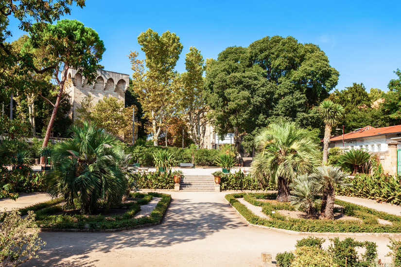 Der-Botanische-Garten-Montpelliers-im-Sommer