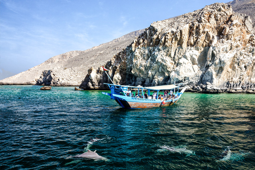 Delfine-beobachten-Golf-Oman