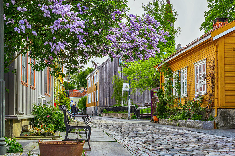 Eine-Strasse-in-Bakklandet Eine-Strasse-in-Bakklandet