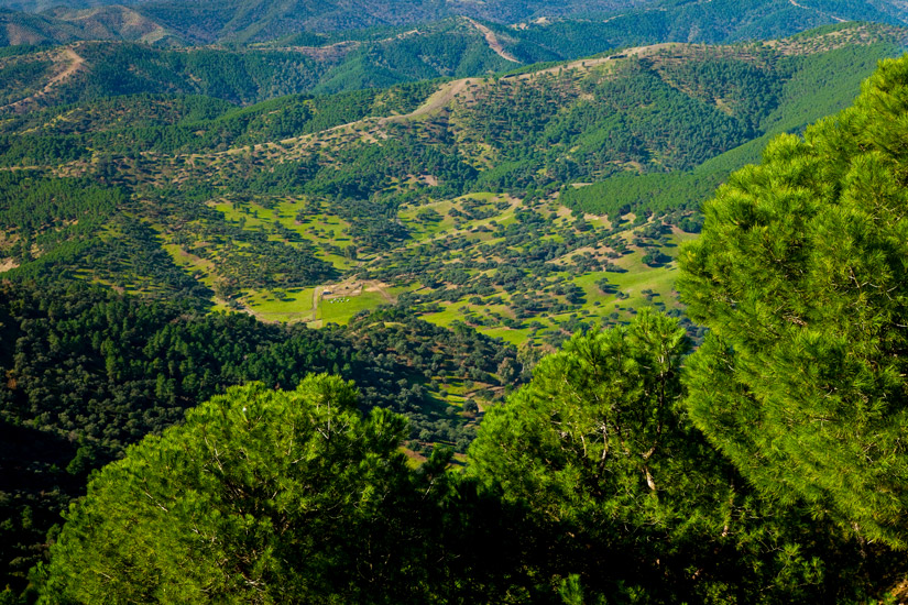 Sierra-de-Cardena-y-Montoro