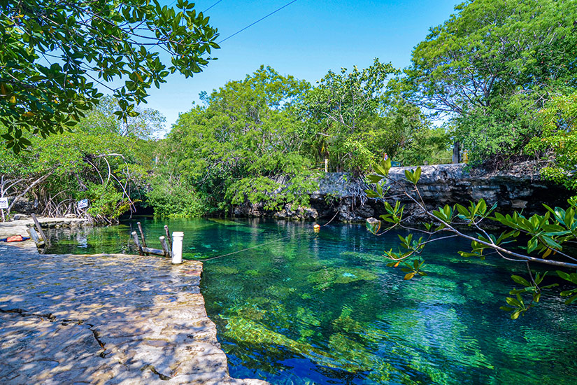 Cenote-Cristalino