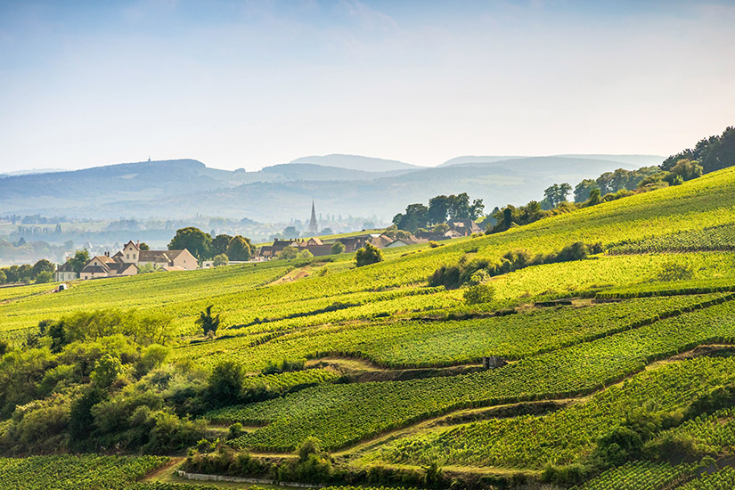 Climats-de-Bourgogne