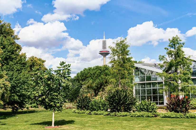 Frankfurt-am-Main-Palmengarten-und-Europaturm