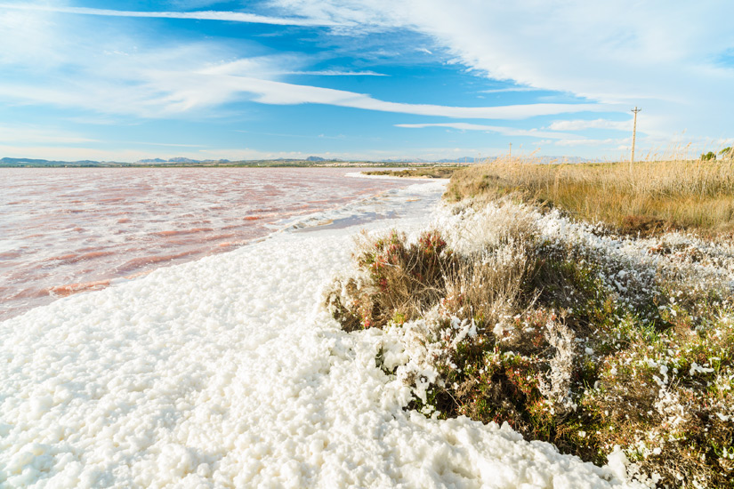 Lagune-in-Torrevieja