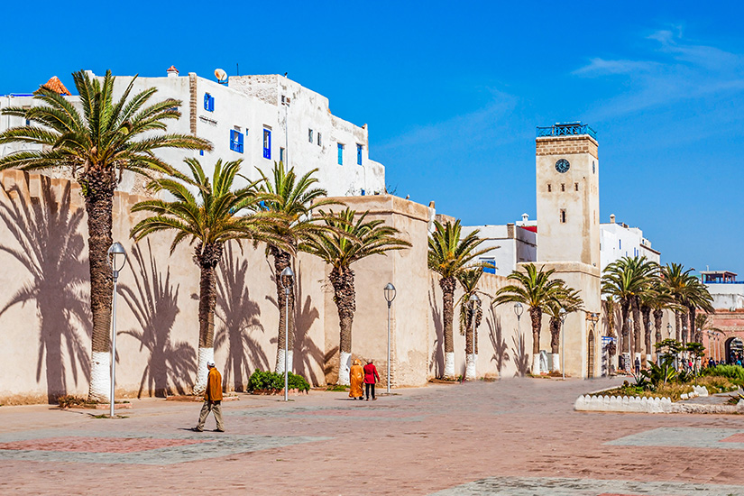 Palmen-an-der-Stadtmauer-Essaouiras