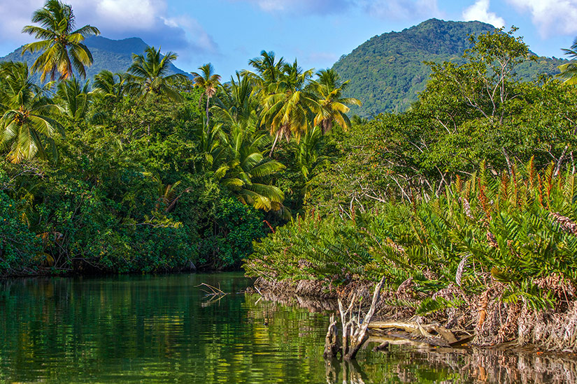 Indian-River-Dominica