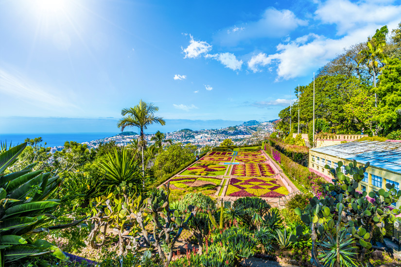 Botanischer-Garten-Funchal