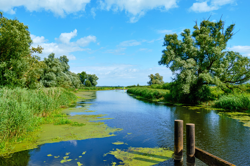 Mecklenburg-Vorpommern-Flusslandschaft-Nehringen