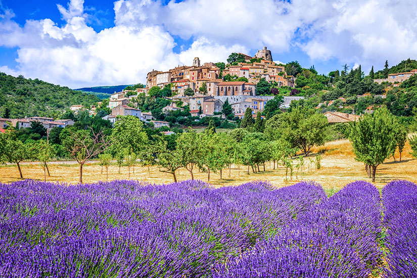 Lavendelfeld-Provence