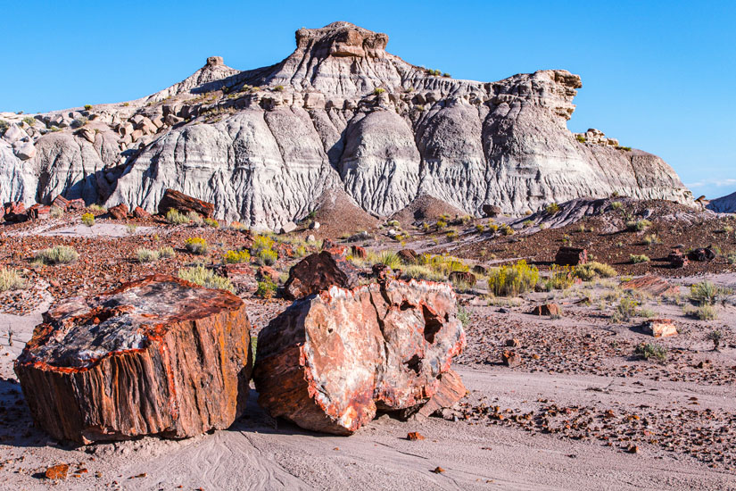 Petrified-Forest-Nationalpark