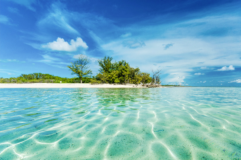 Schwimmen-mit-Delfinen-auf-Bimini-Bahamas