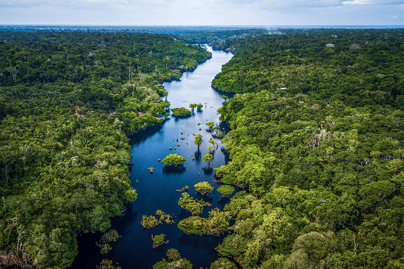 Flussdelta Amazonas