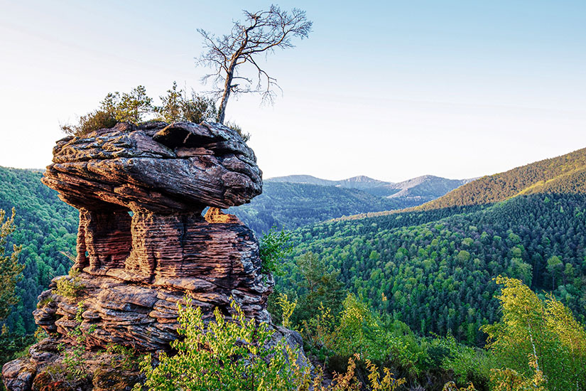 Pfaelzerwald Deutschland