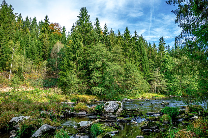 Bayerischer Wald Deutschland