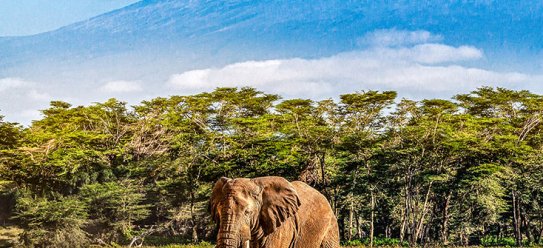 Tansania – Abenteuer in Afrika
