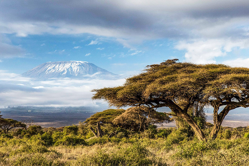 Tansania Kilimandscharo Nationalpark