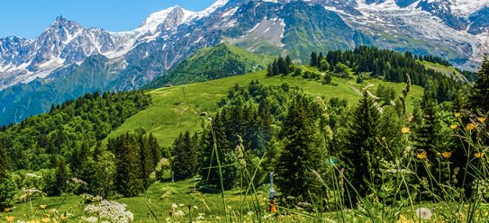 Urlaub in den Alpen buchen