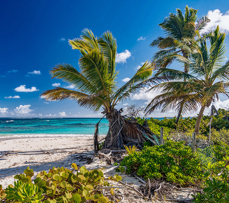 Anguilla Die Inseln, Strände & Top Sehenswürdigkeiten