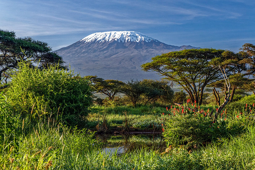 Blick auf den Kilimandscharo