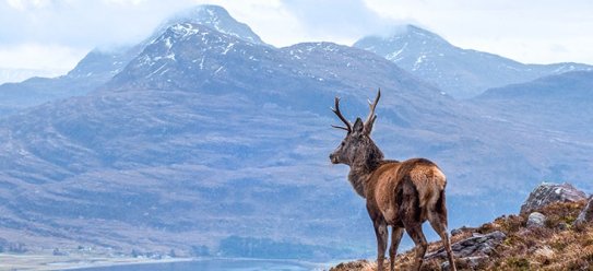 Highlands – Hochland in Schottland