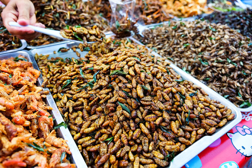 Souvenir Thailand Insekten