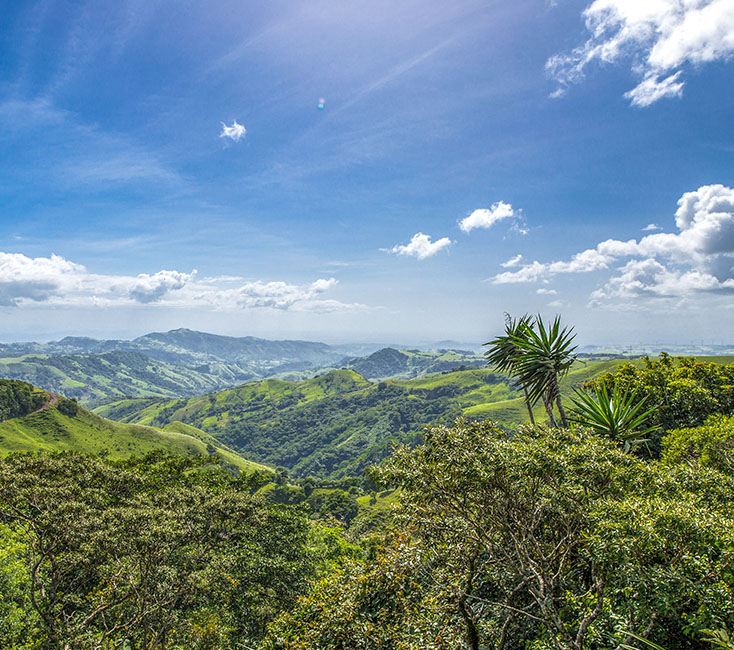 Monteverde Tipps zu Region & Reservat in Costa Rica