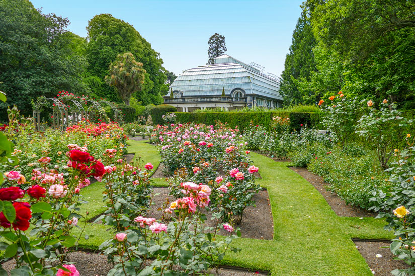 Botanischer Garten von Christchurch