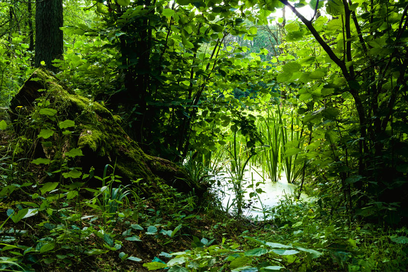 Lublin Zemborzycki Stausee