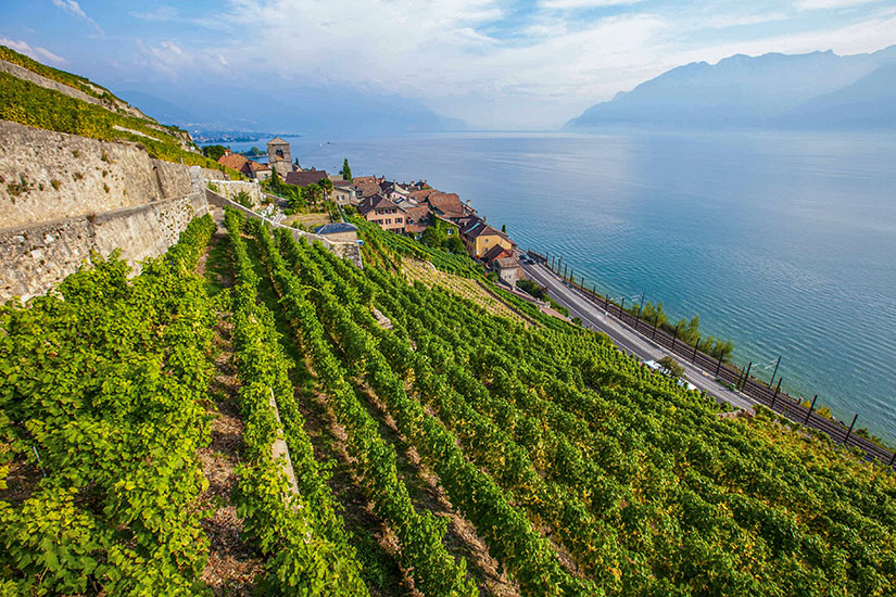 Genfersee Lavaux